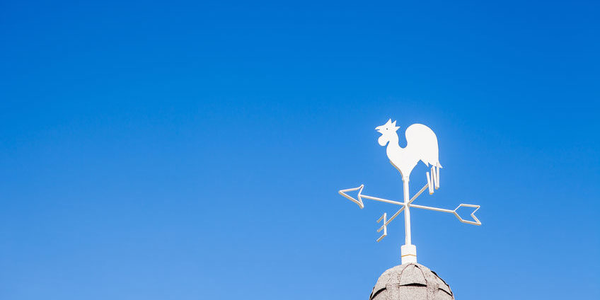 White rooster weather vane on blue sky weather vane | new market trend