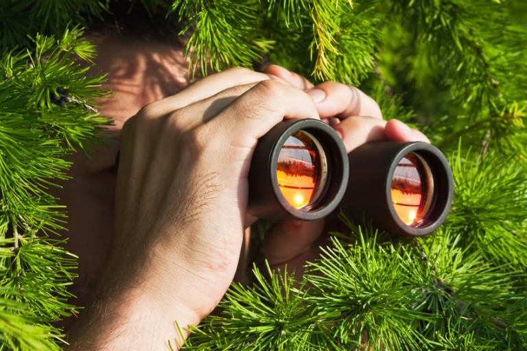 looking through binoculars | market leaders