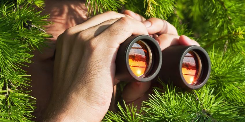 looking through binoculars | market leaders