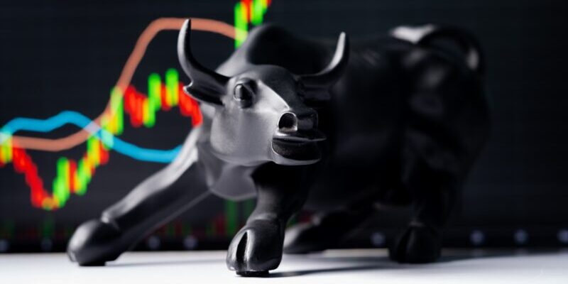 image of bull | 2023 bull market