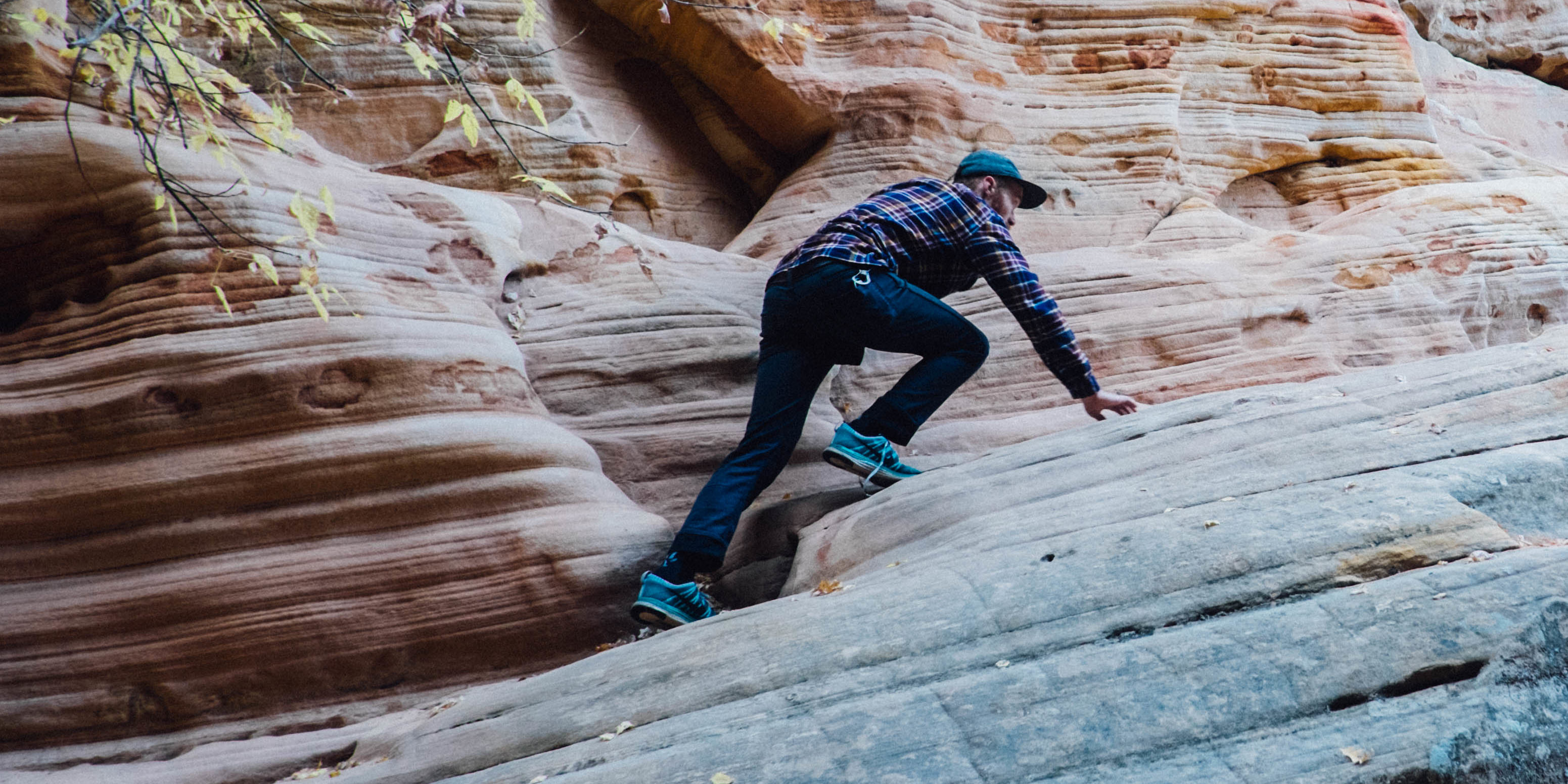 568 scaling a high wall of worry