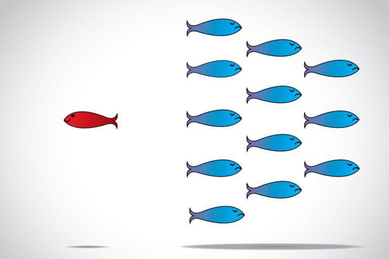 fish swimming away from the school | market top