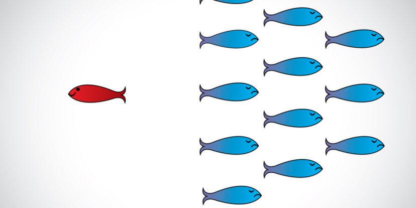 fish swimming away from the school | market top