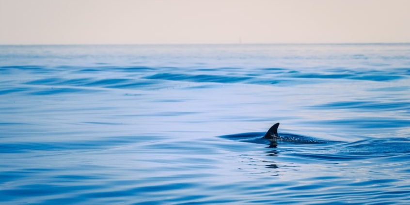 technical indicators