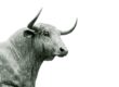 bull head | bullish seasonal stock market trends