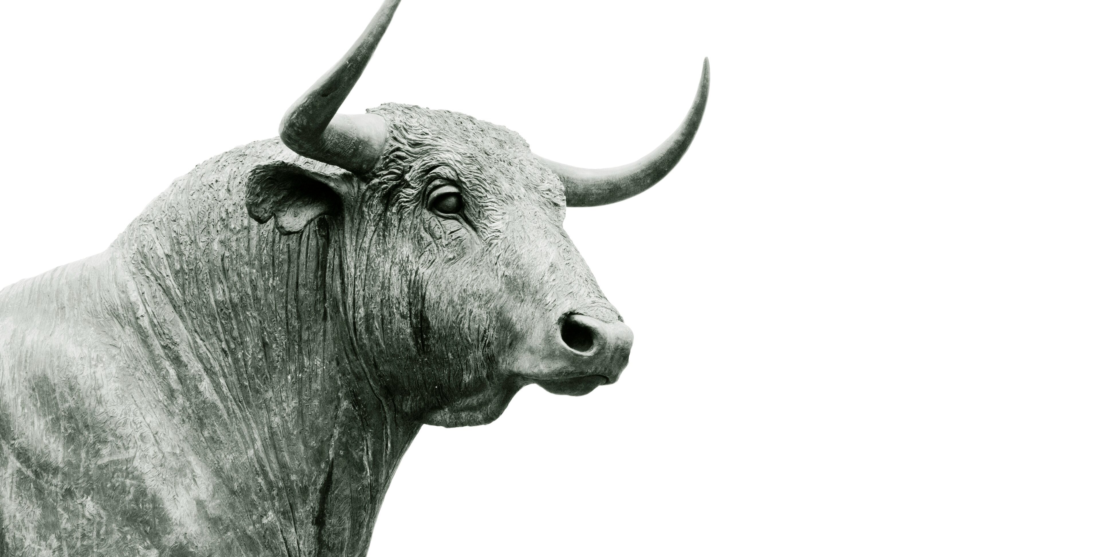 bull head | bullish seasonal stock market trends