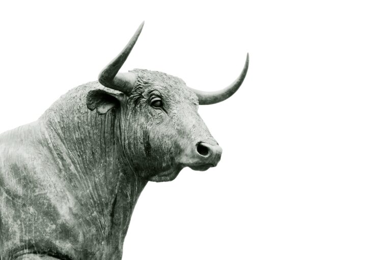 bull head | bullish seasonal stock market trends