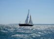sailboat on windy day | sentiment and technical indicators